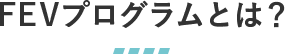 FEVプログラムとは？