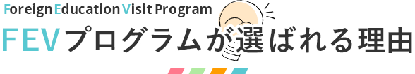 FEVプログラムが選ばれる理由