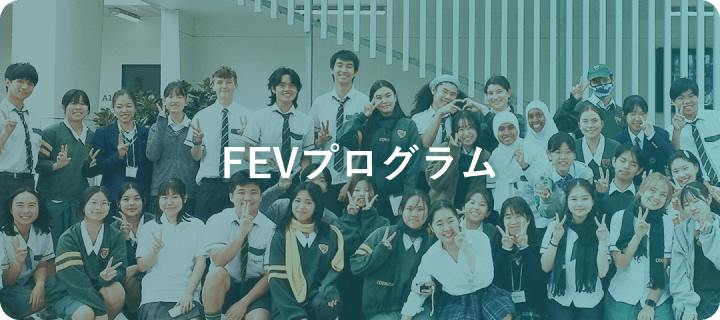 FEVプログラム